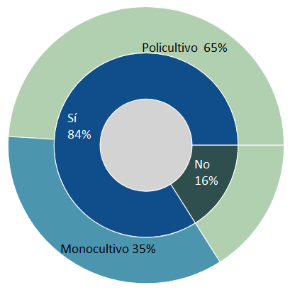 Gráfico, Gráfico de proyección solar El contenido generado por IA puede ser incorrecto.