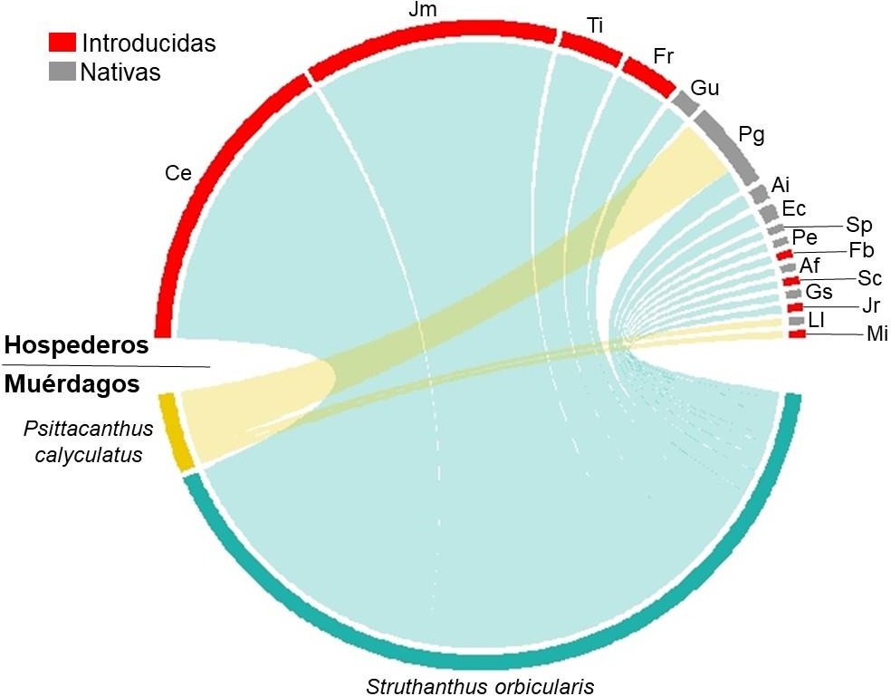 C:\Users\bio_e\Documents\Artículos y notas\Ms_Muerdago\chordgraph.jpg