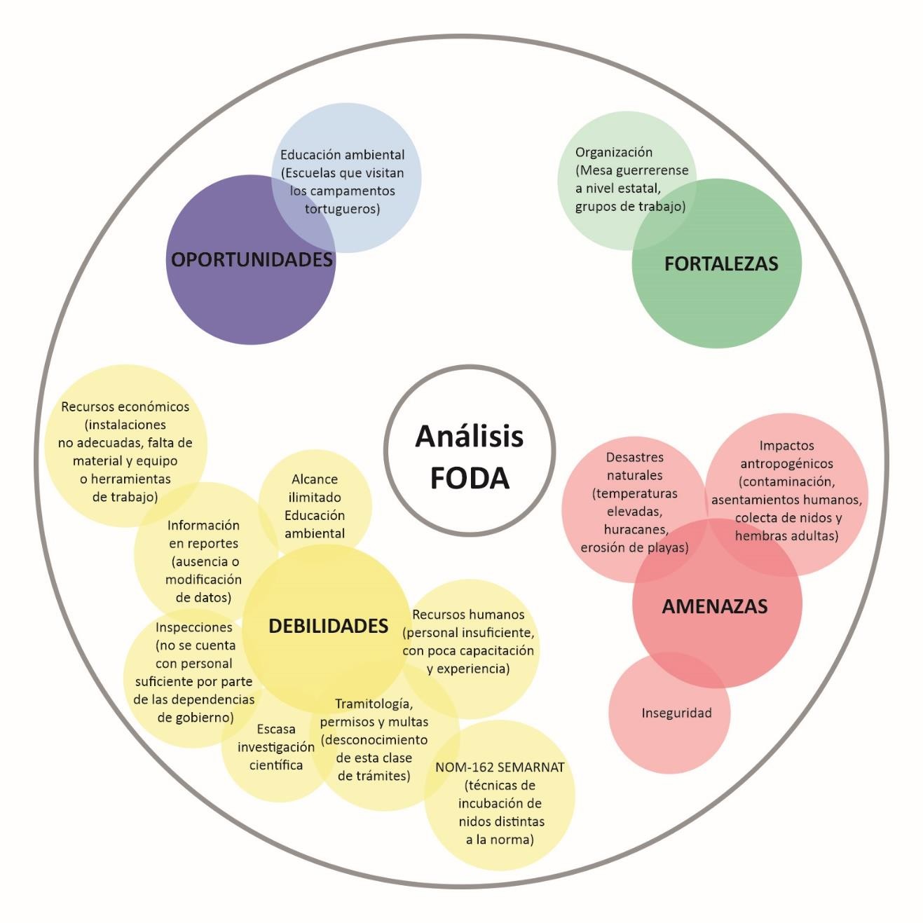 C:\Users\Adriana\Mi unidad\ARTICULOS\ARTICULOS CHATO\Fig 1 Analisis FODA.jpg