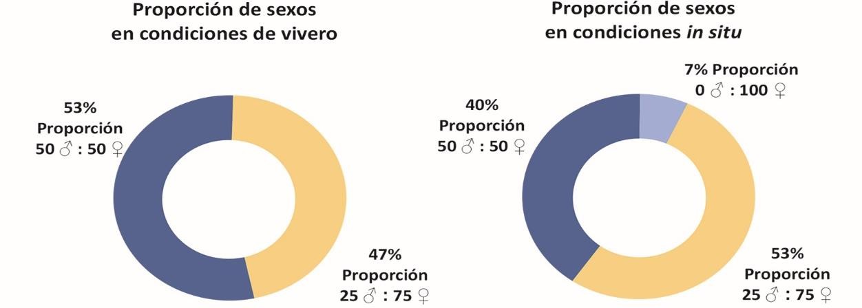 C:\Users\Adriana\Mi unidad\ARTICULOS\ARTICULOS CHATO\Fig2.jpg